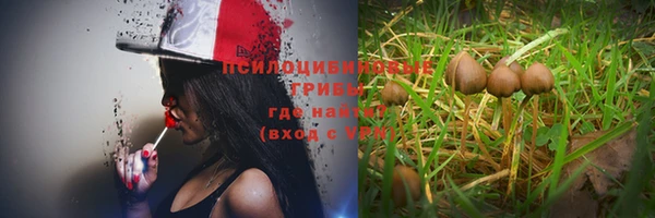MESCALINE Верея