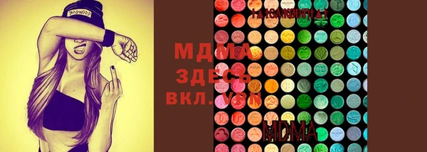 дживик Верхний Тагил