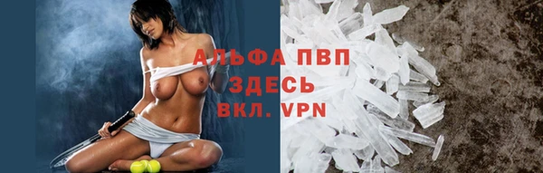 дживик Верхний Тагил