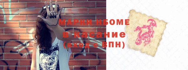 дживик Верхний Тагил