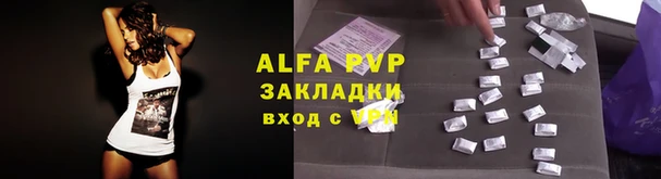 дживик Верхний Тагил